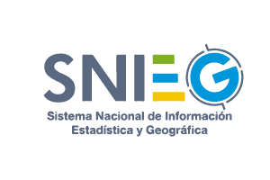 Logo SNIEG